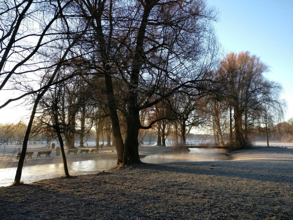 Stadspark Englischer Garten, onderweg van mijn huis naar de universiteit